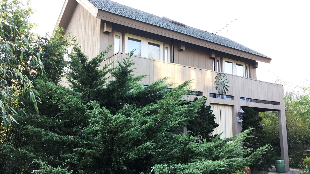 Photo of Others in Fire Island Pines