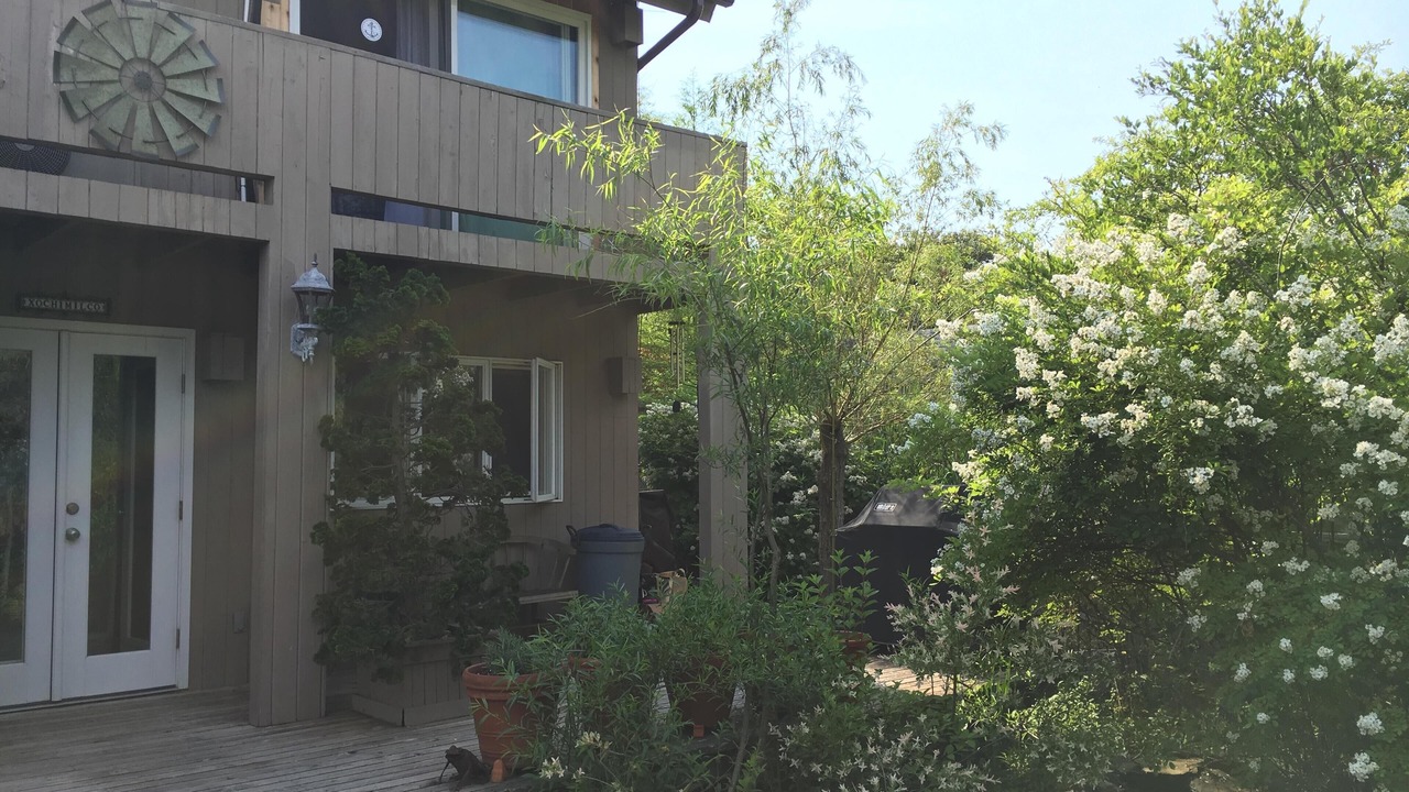 Photo of Others in Fire Island Pines