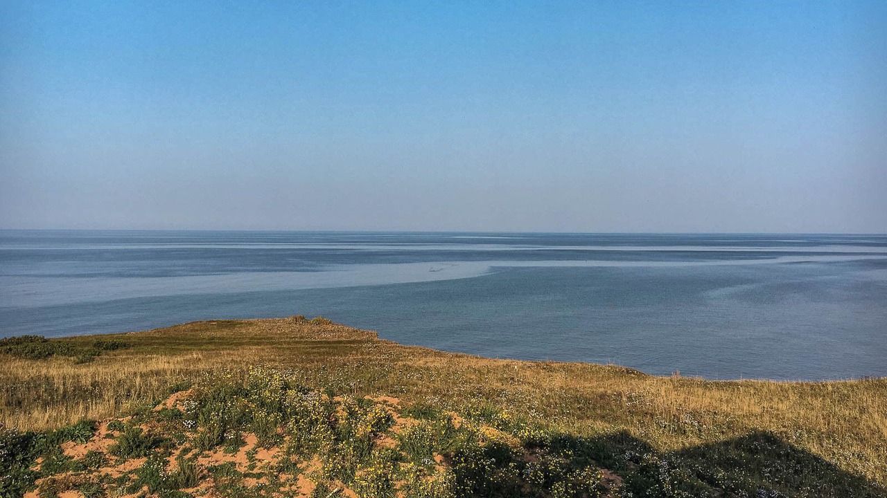 Photo of Others in Sea View