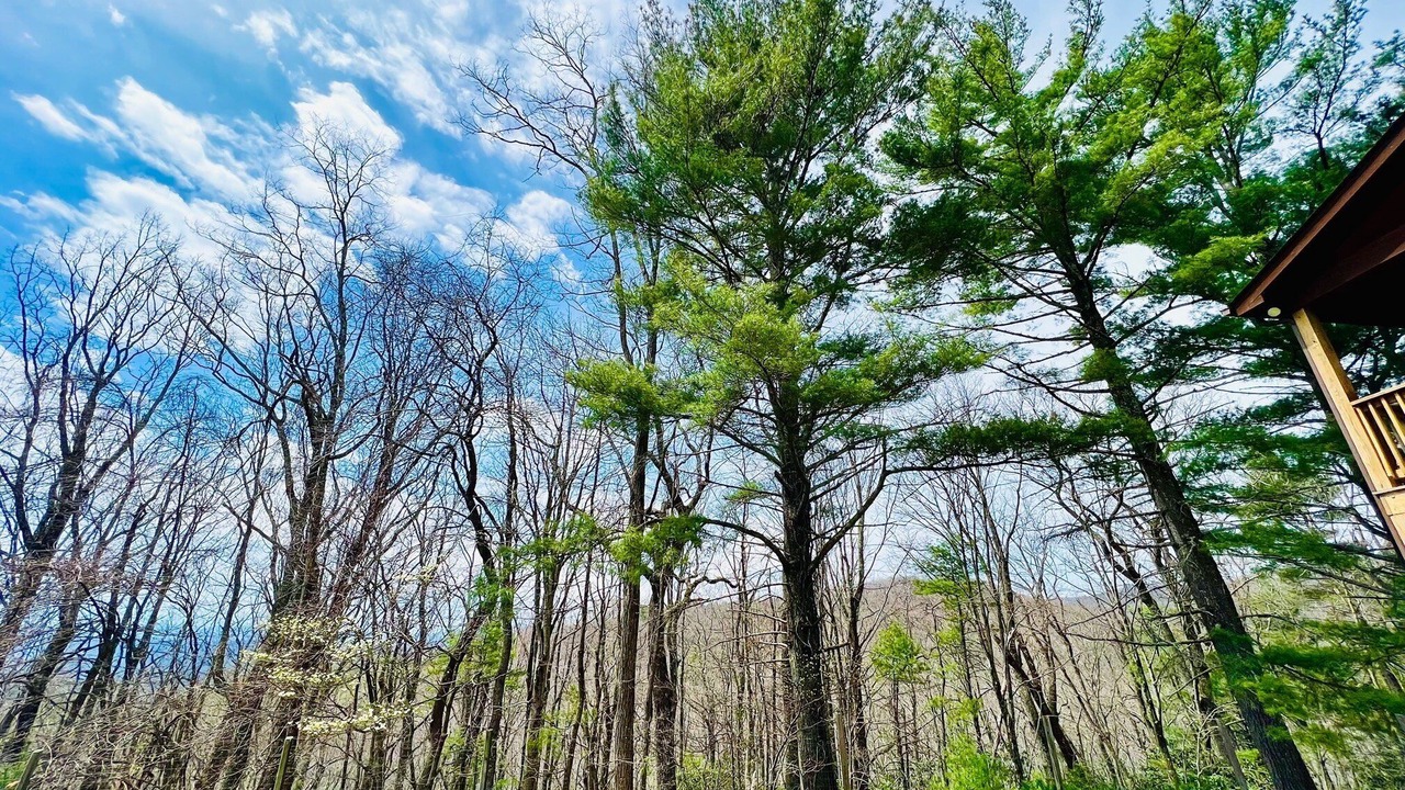 Photo of Outdoor in Lenoir