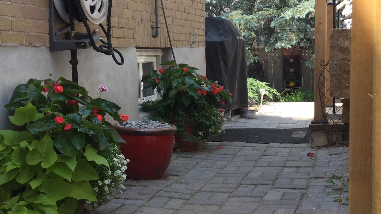 Photo of Outdoor in Peterborough