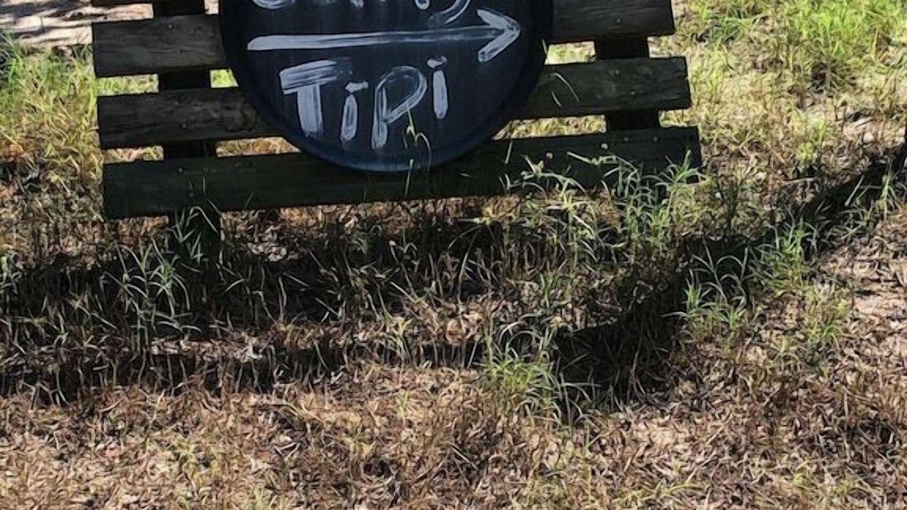 Photo of Outdoor in Hawkins