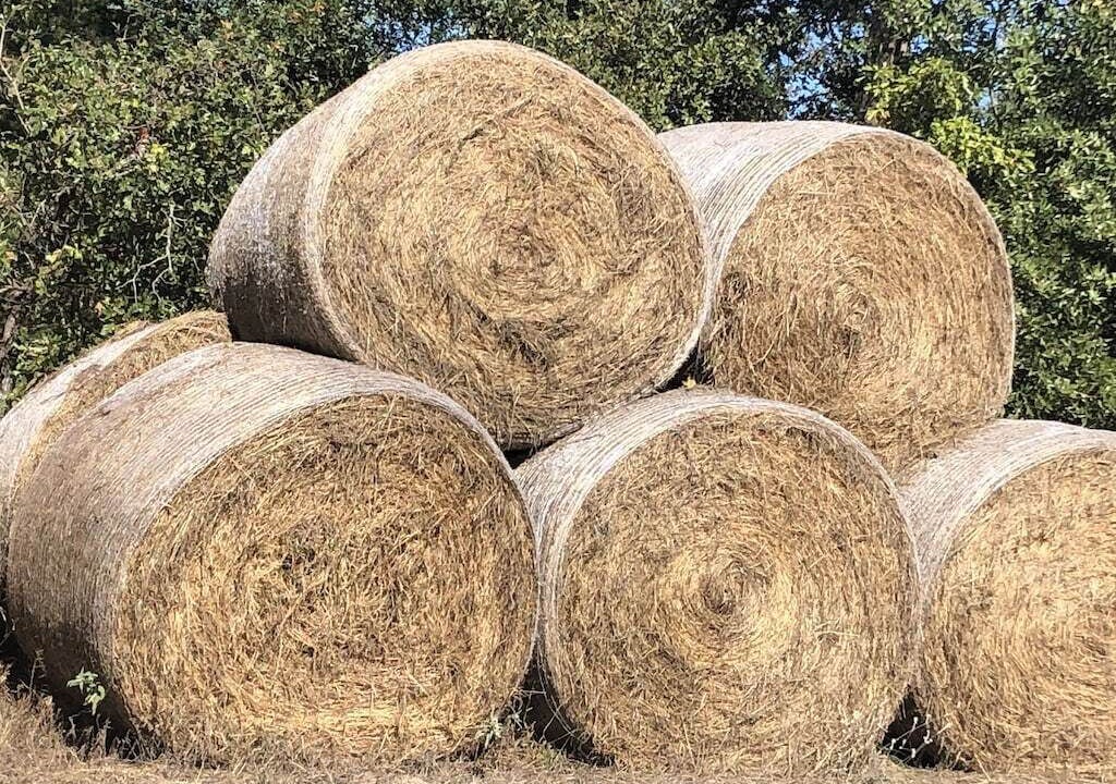 Photo of Others in Hawkins