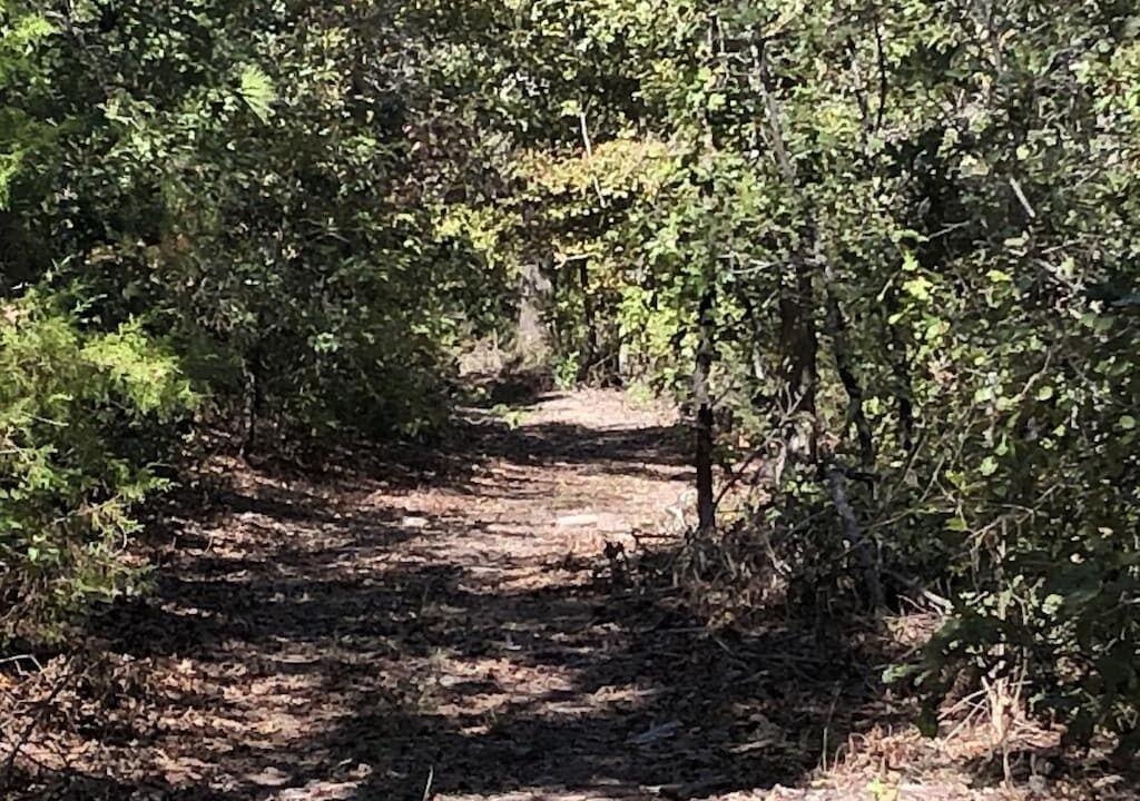 Photo of Outdoor in Hawkins