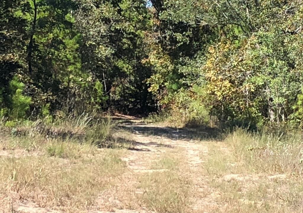 Photo of Outdoor in Hawkins