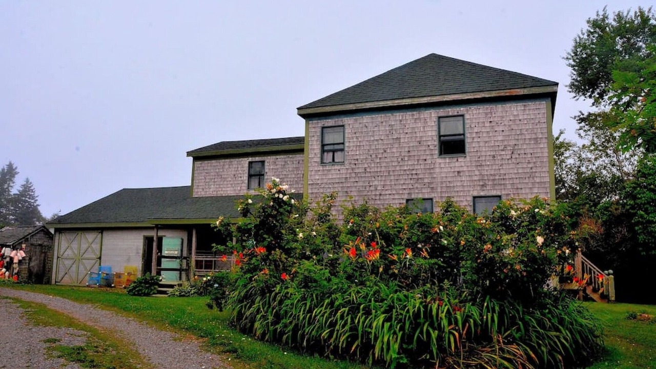 Photo of Others in Eastport
