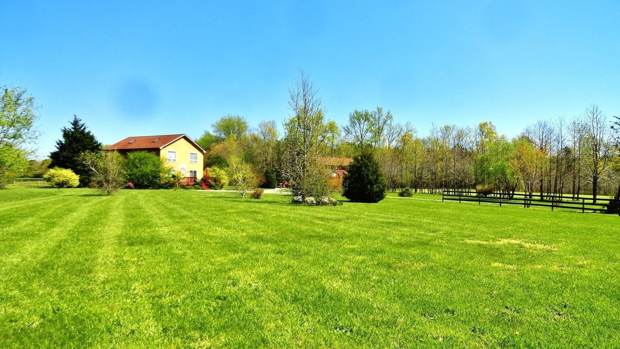 Photo of Outdoor in Kilmarnock