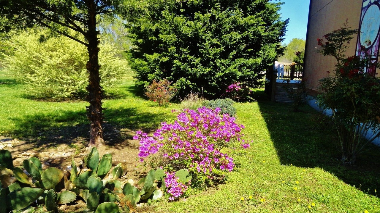 Photo of Outdoor in Kilmarnock