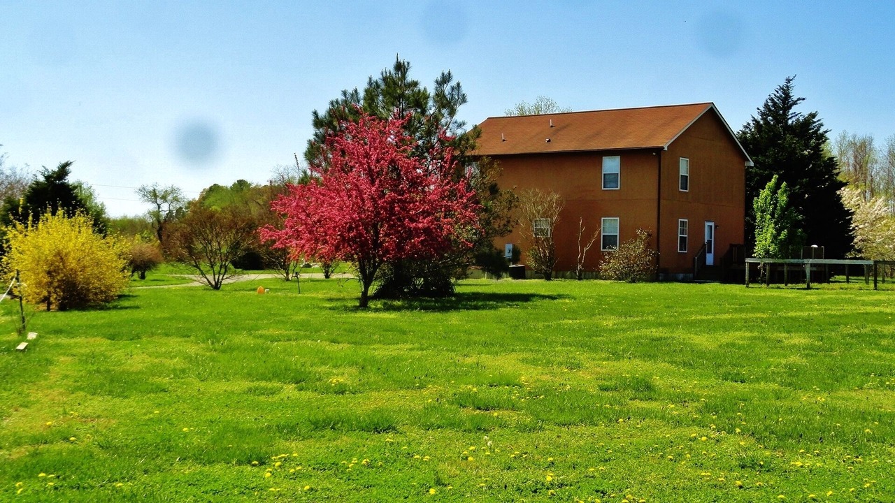 Photo of Outdoor in Kilmarnock