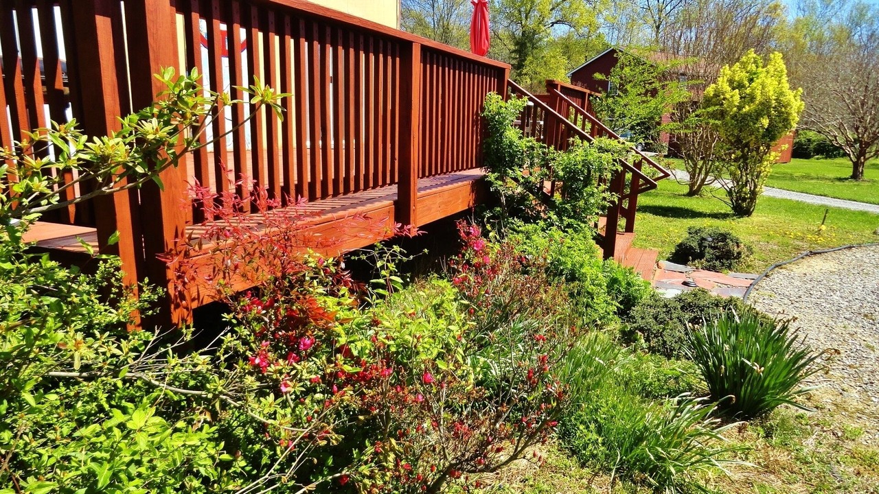 Photo of Outdoor in Kilmarnock