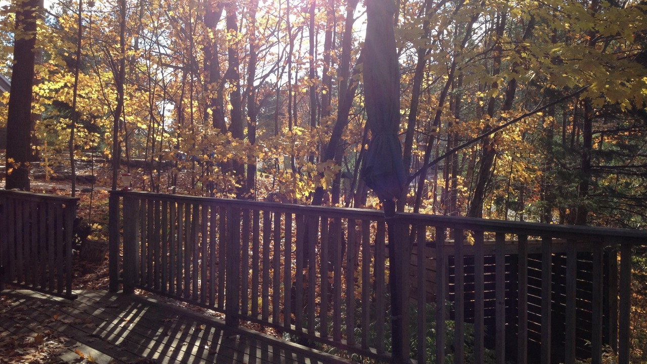 Photo of Outdoor in Oro-Medonte