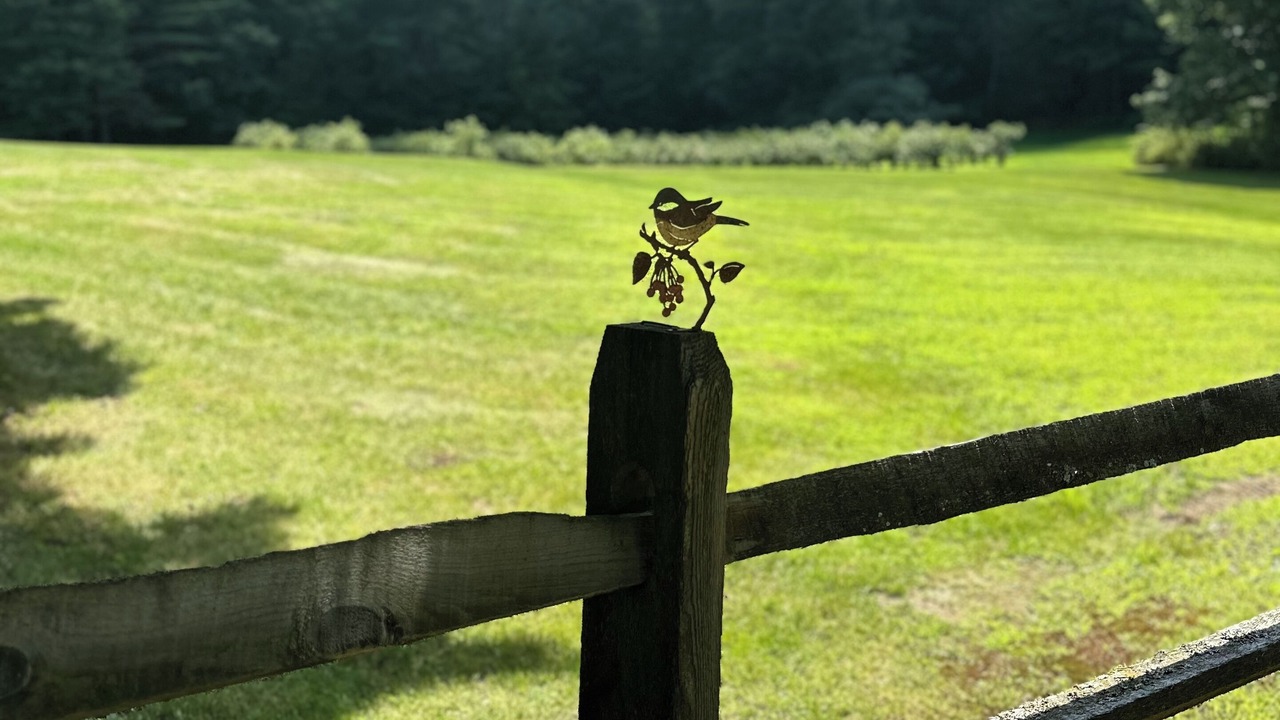 Photo of Outdoor in Unity