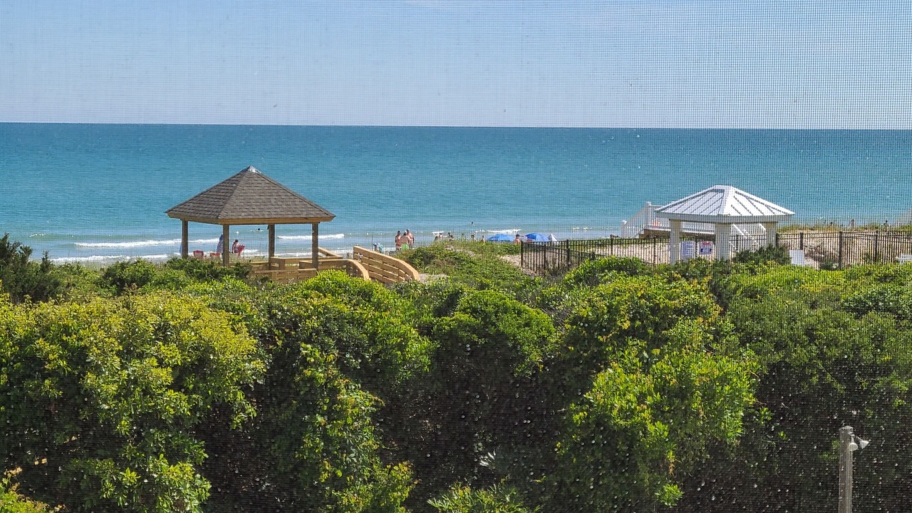 Photo of Others in Atlantic Beach