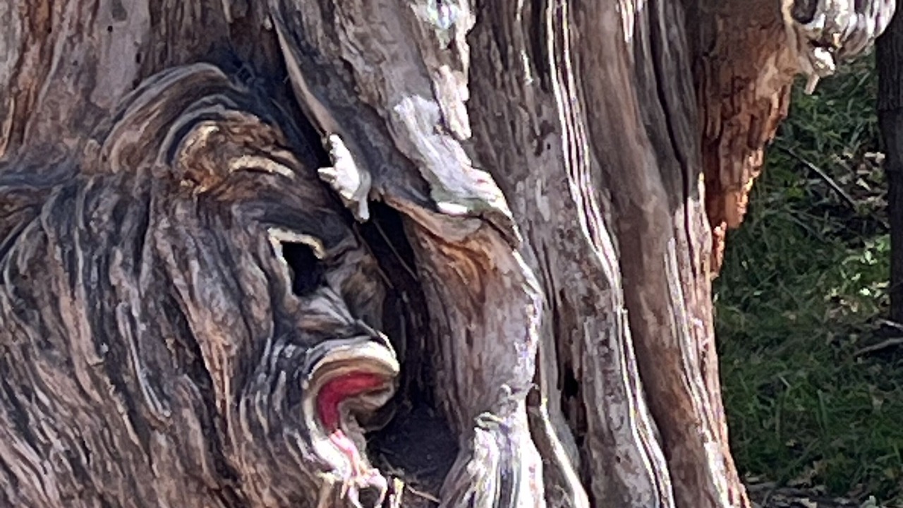 Photo of Others in Ruidoso