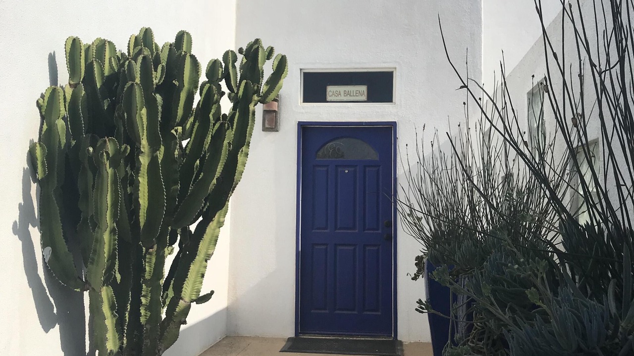 Photo of Others in Ensenada