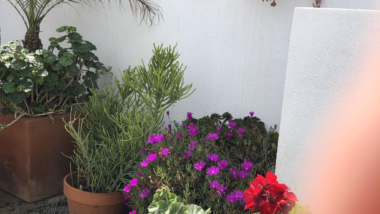 Photo of Others in Ensenada