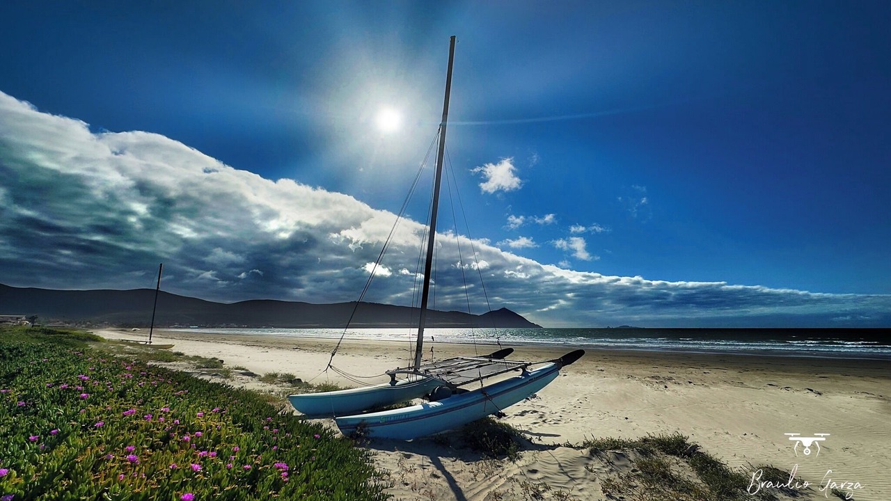 Photo of Others in Ensenada