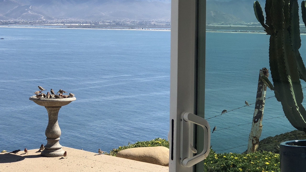 Photo of Others in Ensenada