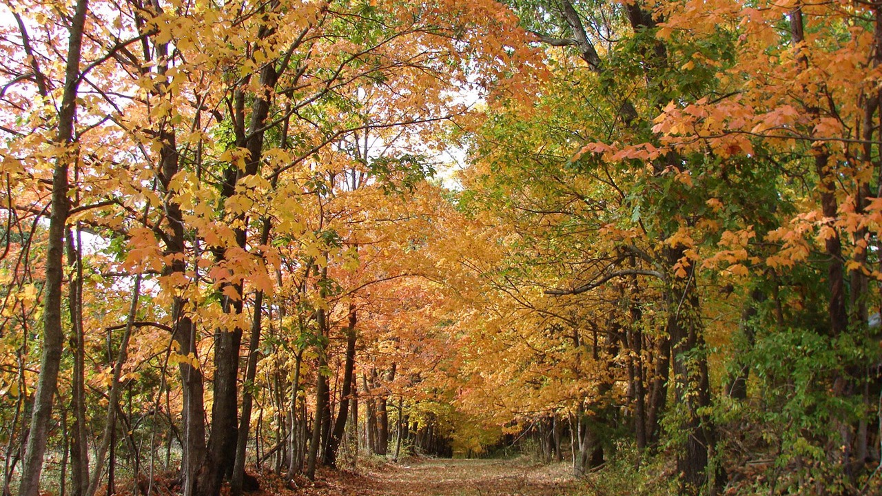 Photo of Outdoor in Pilot Grove