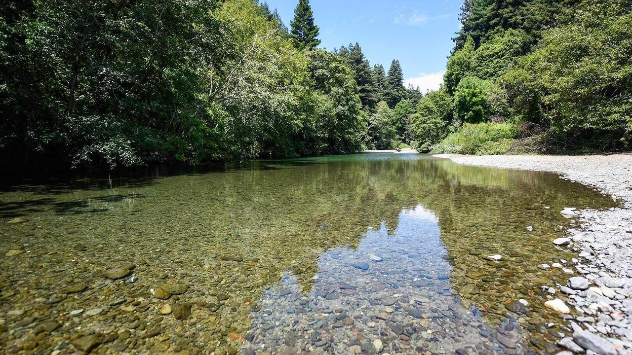 Photo of Others in Cazadero