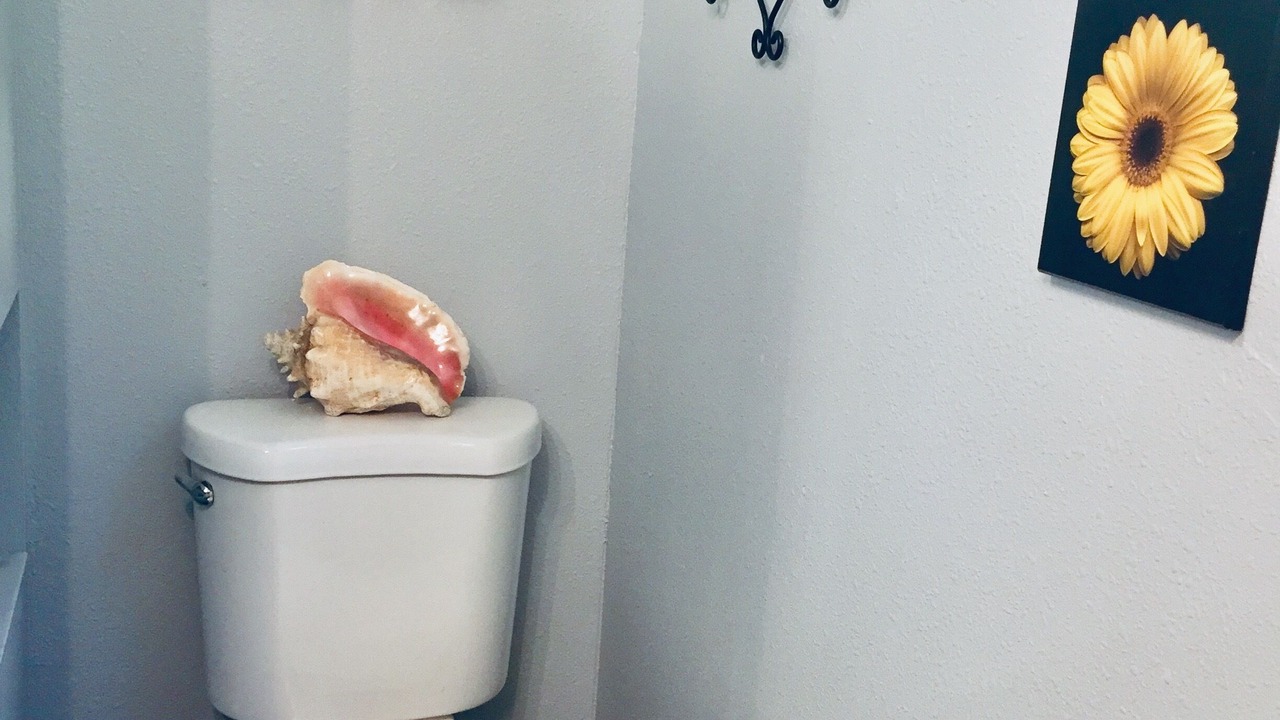 Photo of Bathroom in South Hills