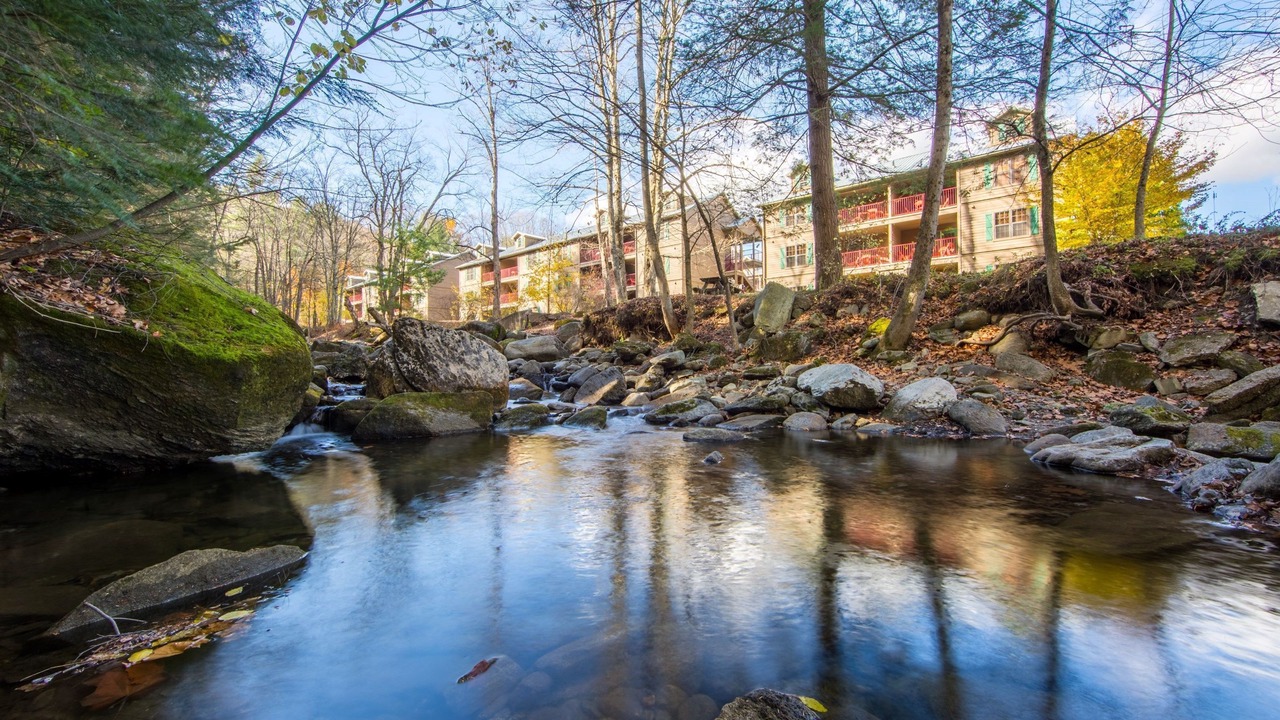 Photo of Others in South Lee