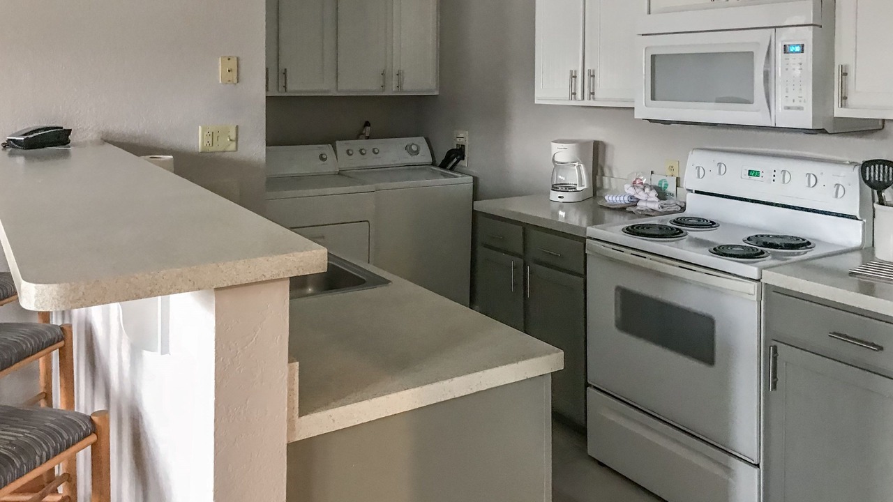 Photo of Others in South Lee