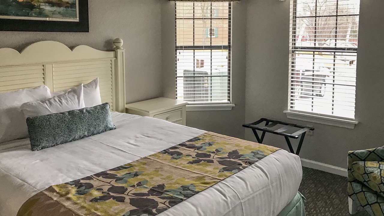 Photo of Others in South Lee