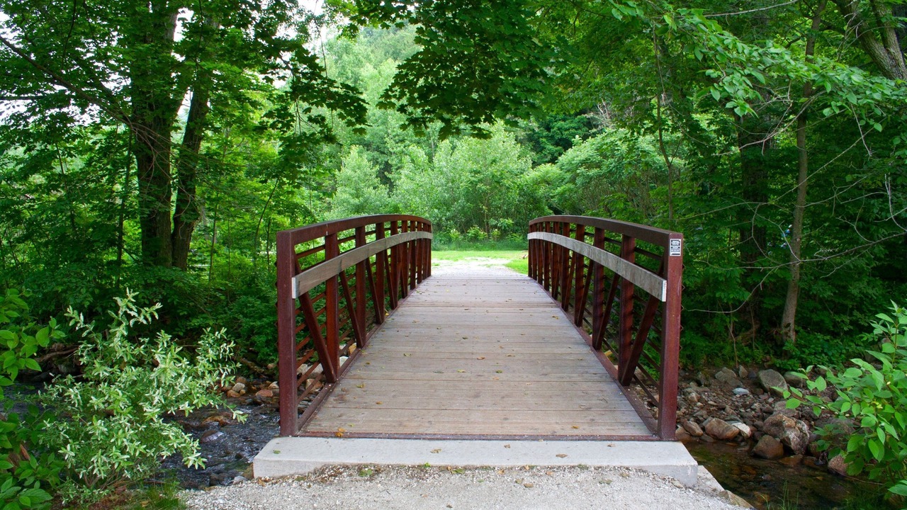 Photo of Others in South Lee