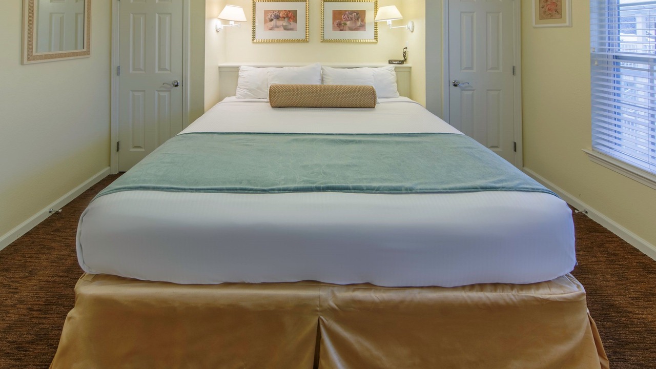 Photo of Others in South Lee