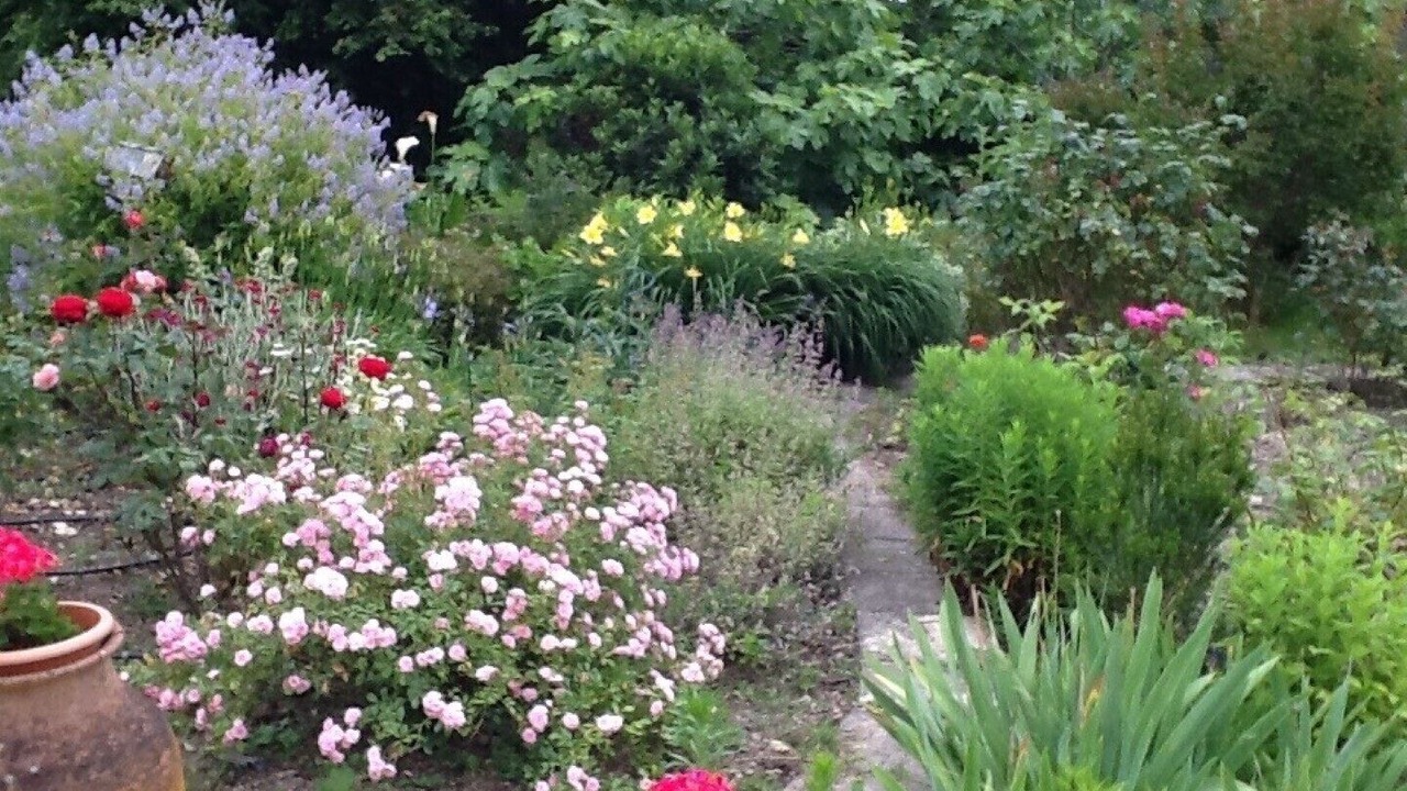 Photo of Outdoor in Azay-le-Ferron