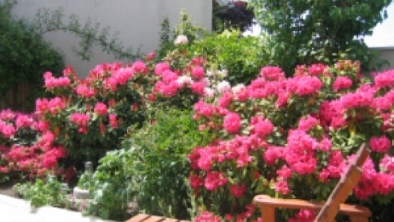 Photo of Outdoor in Azay-le-Ferron