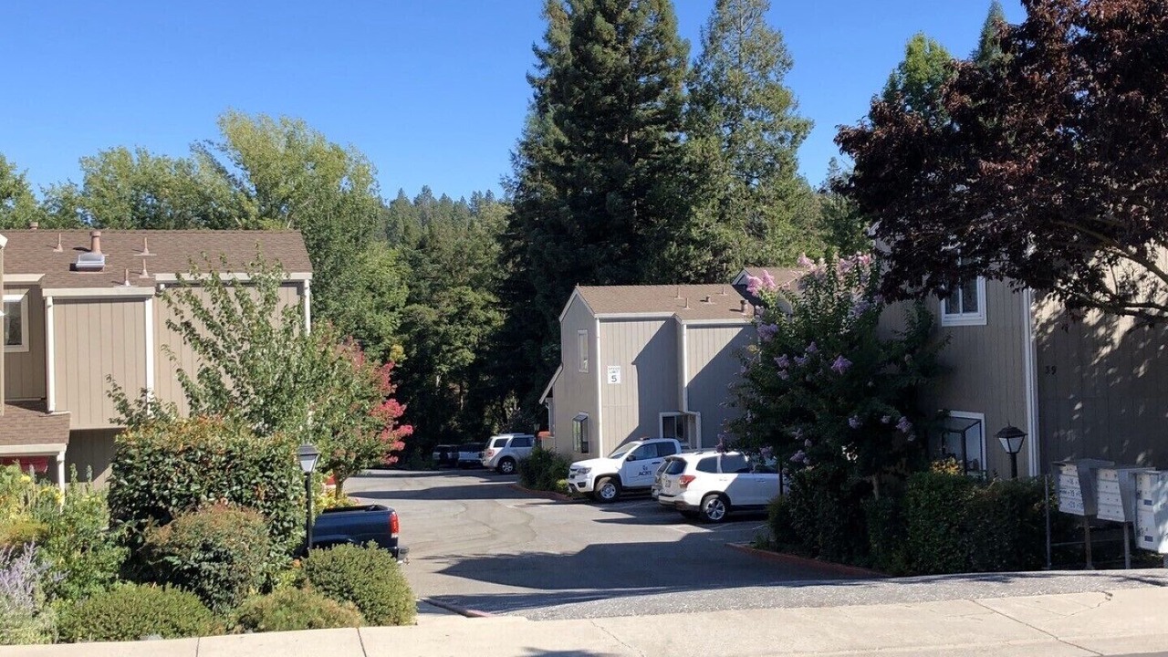 Photo of Outdoor in Grass Valley