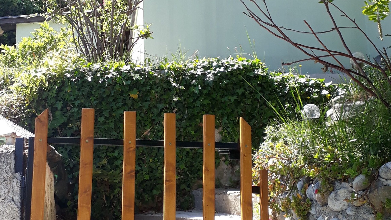 Photo of Outdoor in Saint-Sylvestre