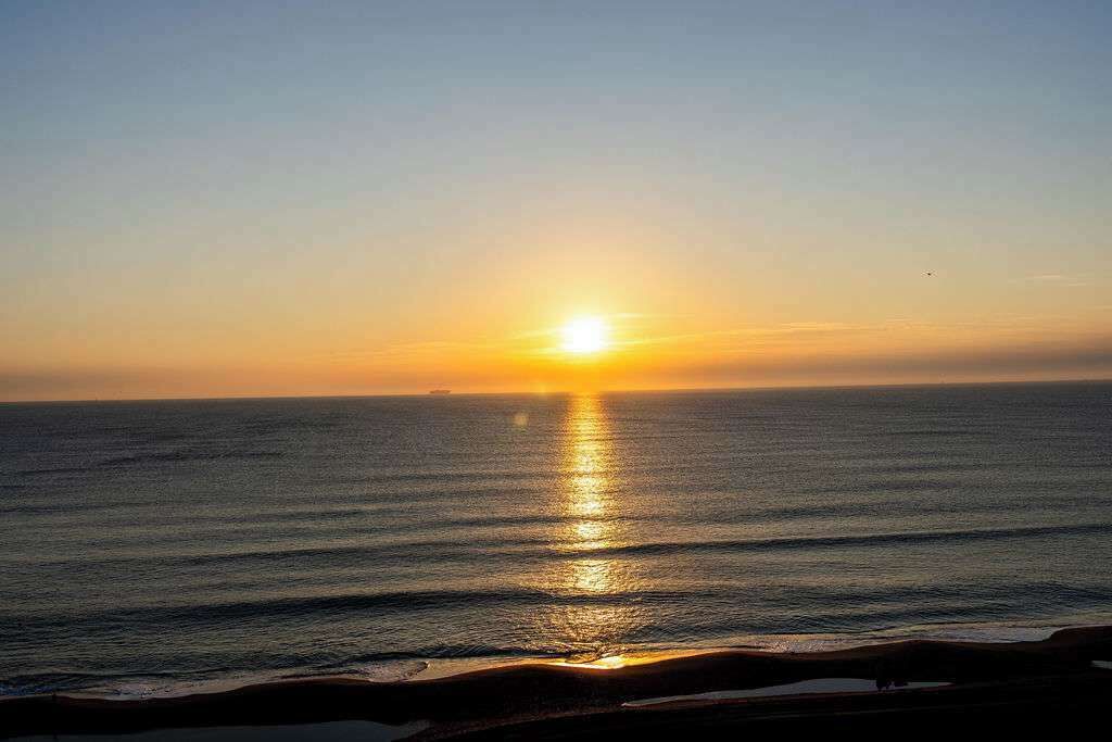 Photo of Others in Northeast Virginia Beach