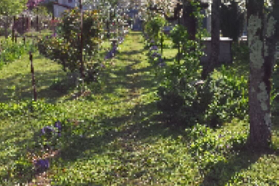 Photo of Outdoor in Saint-Girons