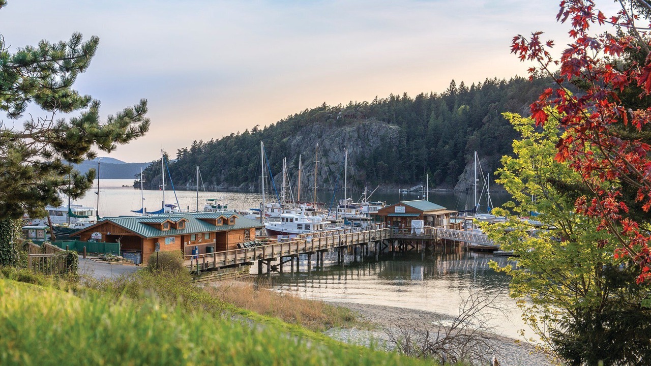 Photo of Others in Deer Harbor