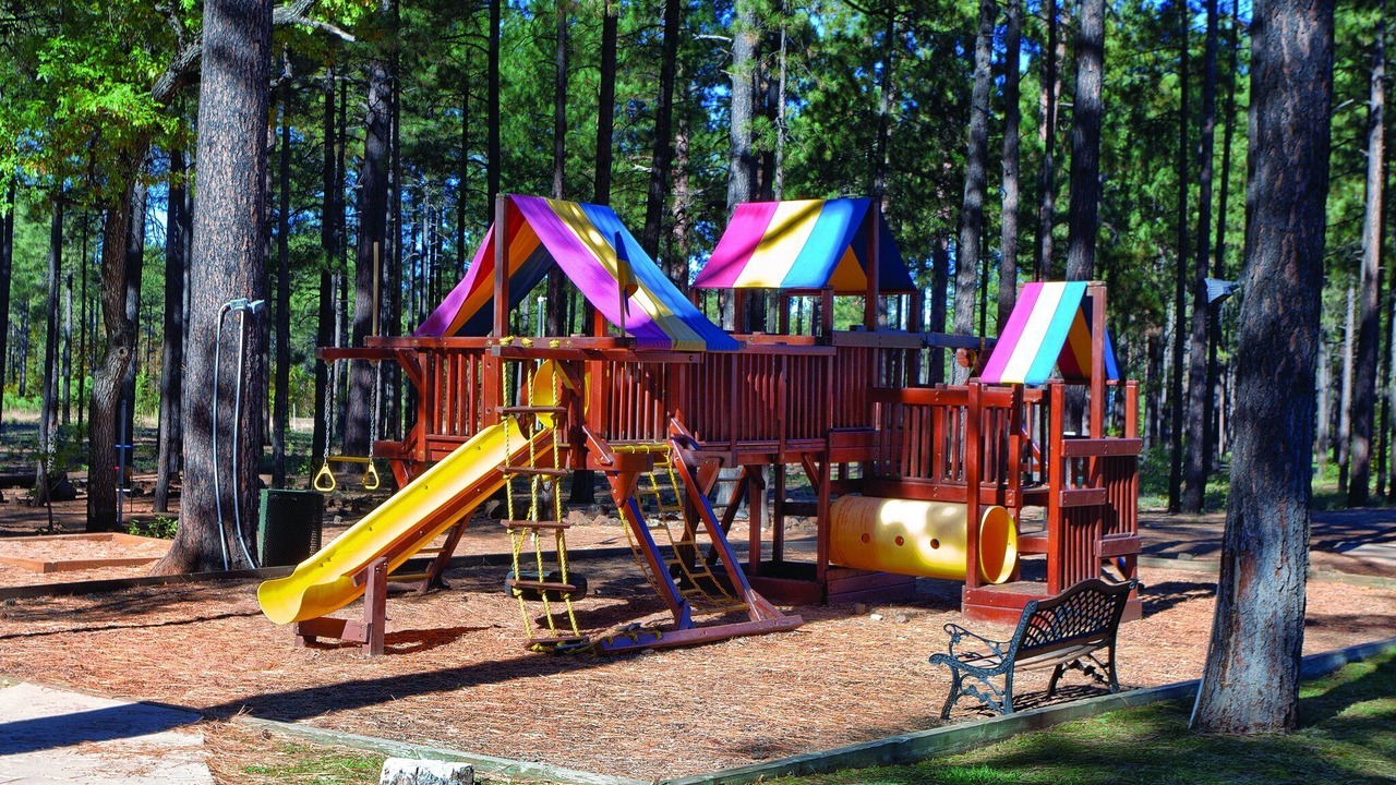 Photo of Others in Pinetop