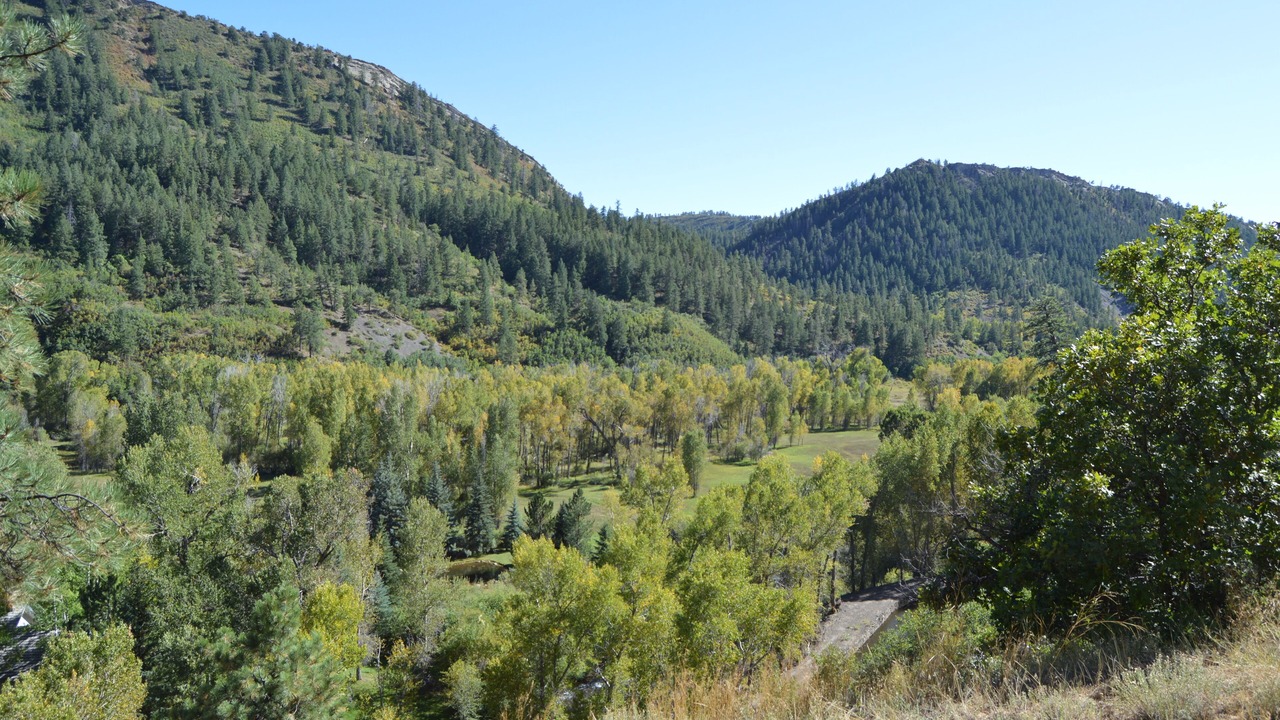 Photo of Others in Durango