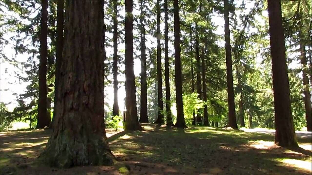 Photo of Outdoor in Mount Tabor