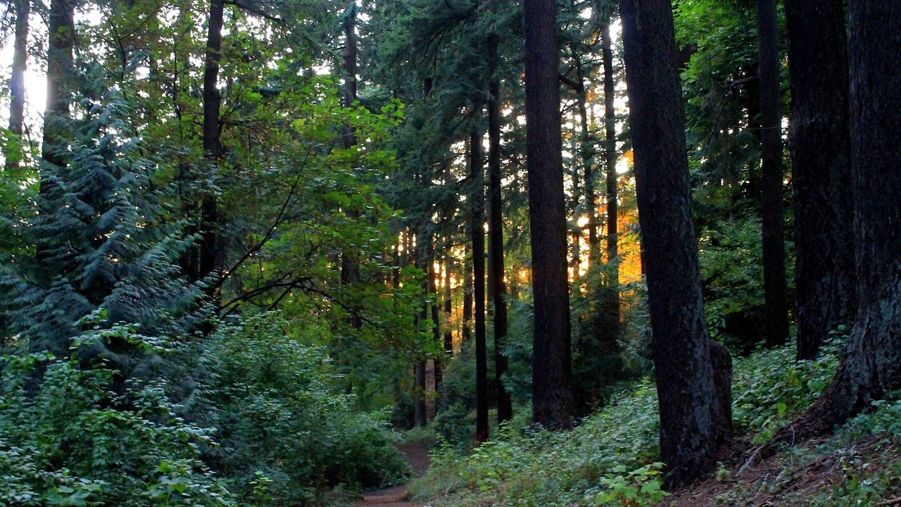 Photo of Outdoor in Mount Tabor