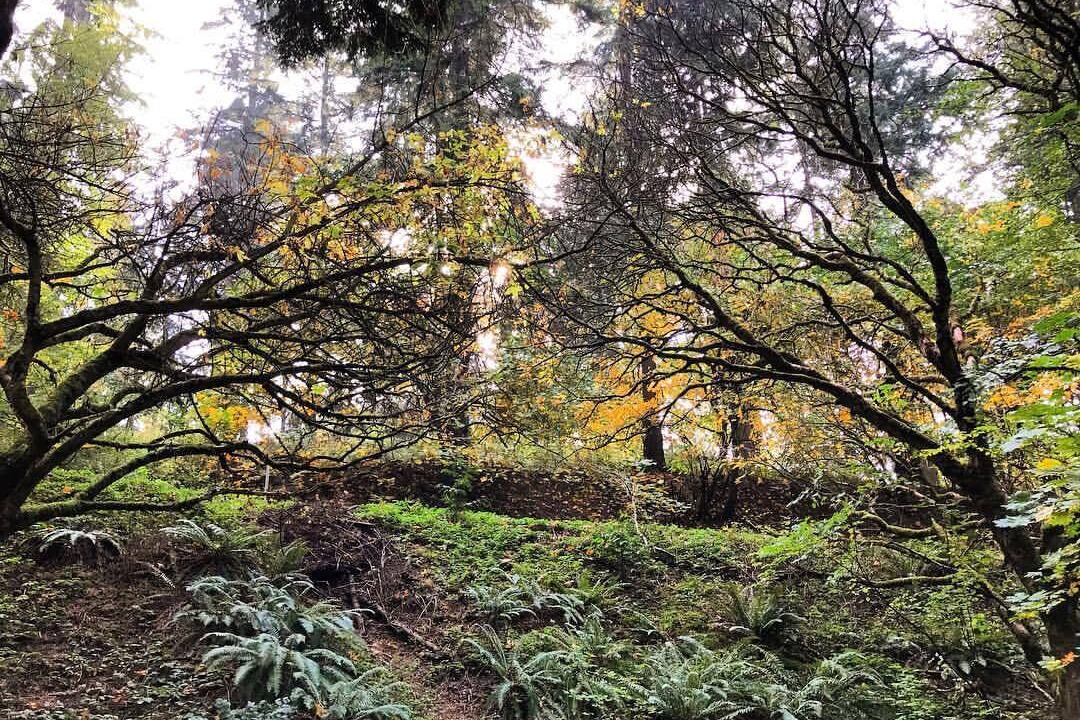 Photo of Outdoor in Mount Tabor