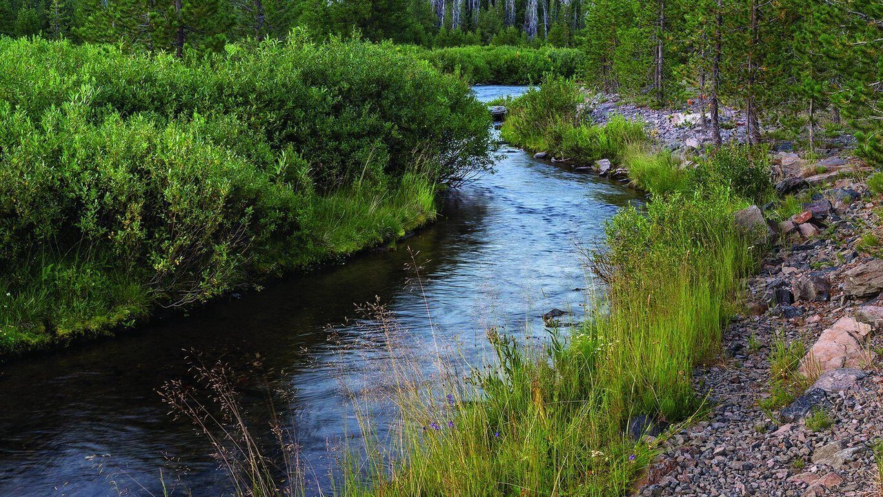 Photo of Outdoor in Bend