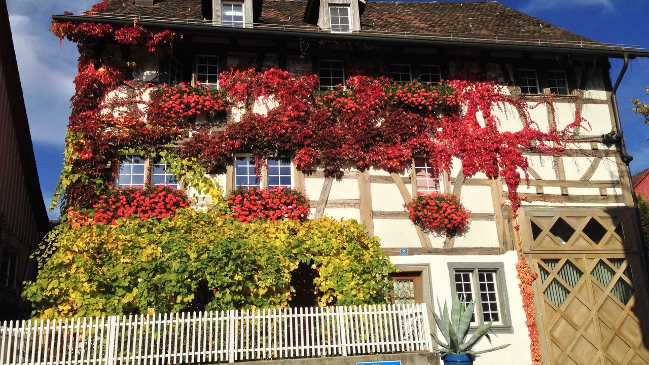 Photo of Outdoor in Andelfingen District
