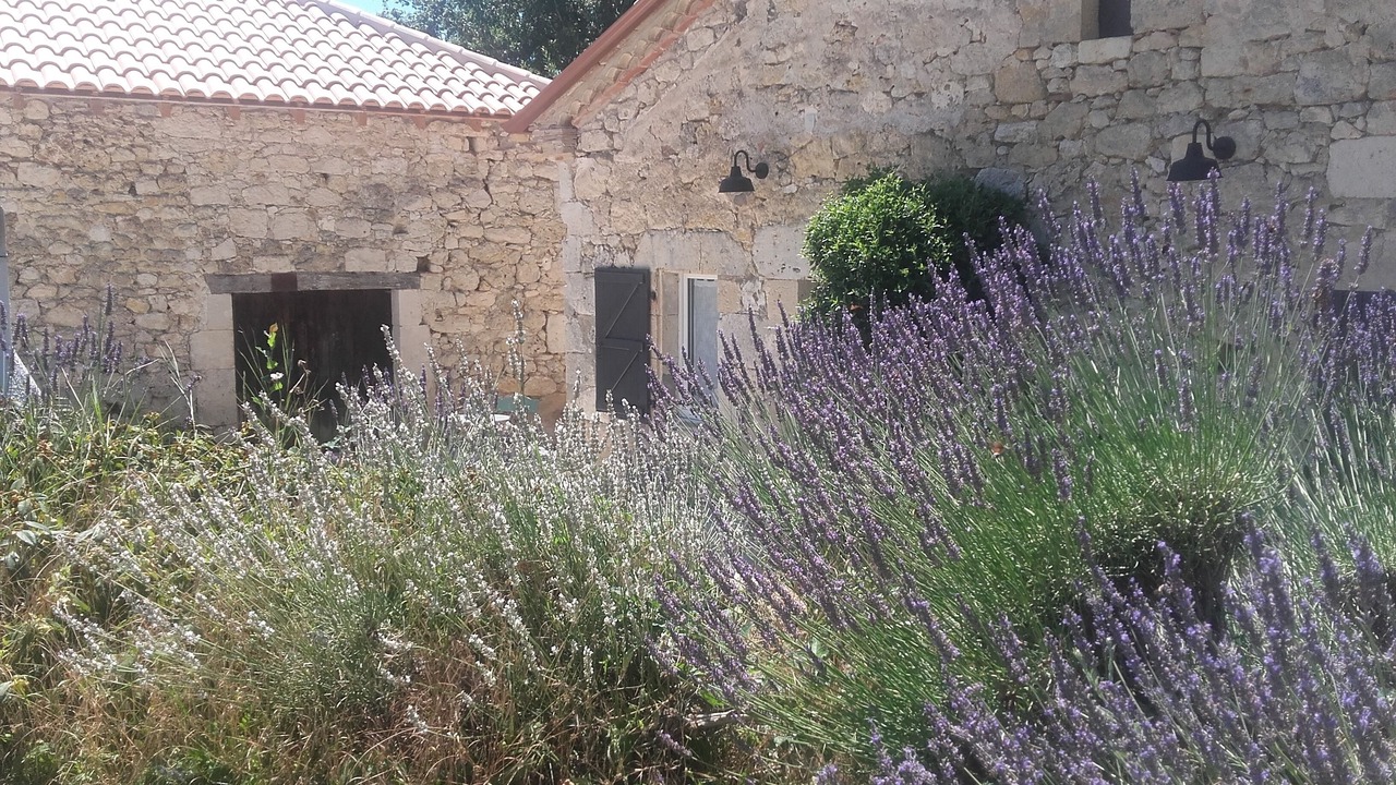 Photo of Outdoor in Bourg-de-Visa