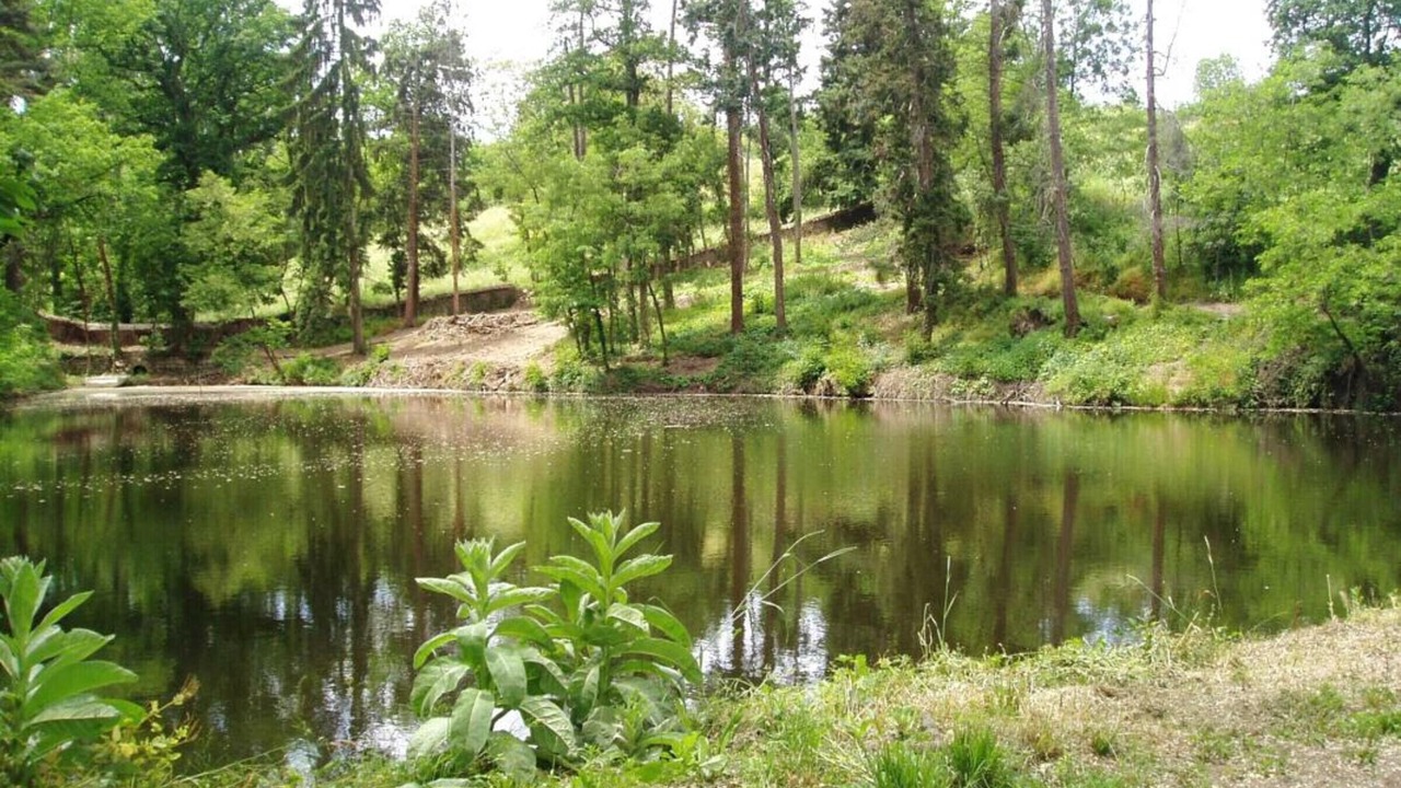 Photo of Outdoor in Montbrison
