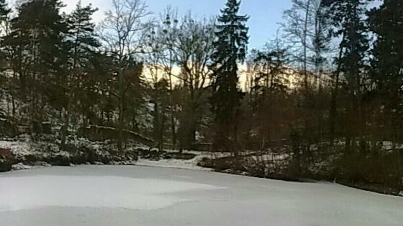 Photo of Others in Montbrison