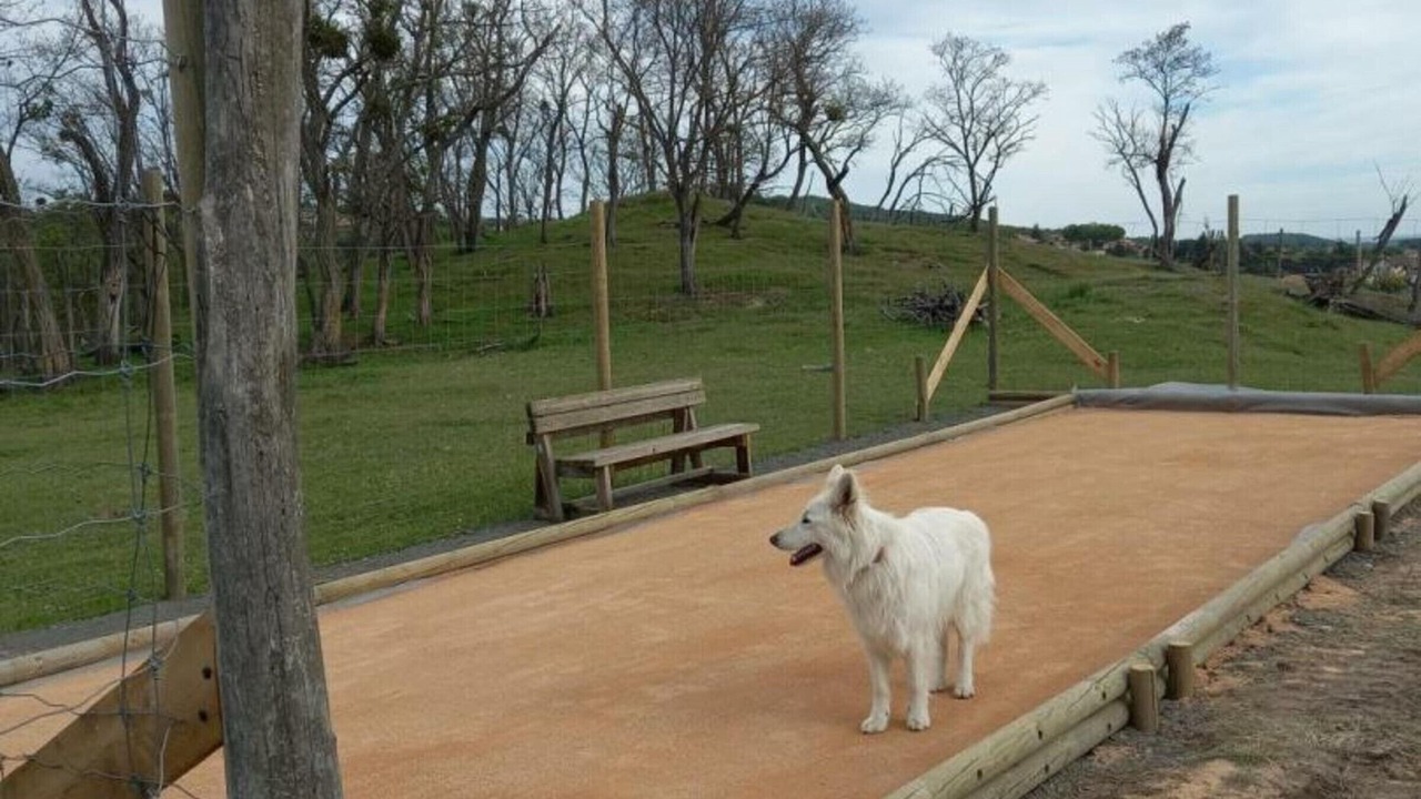 Photo of Outdoor in Montbrison