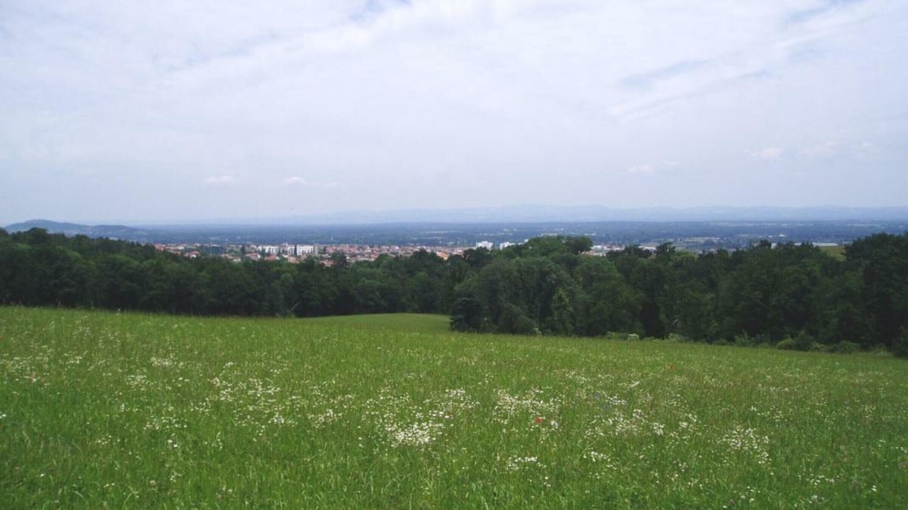 Photo of Others in Montbrison