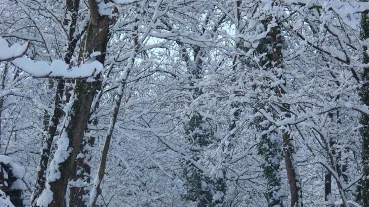 Photo of Others in Montbrison